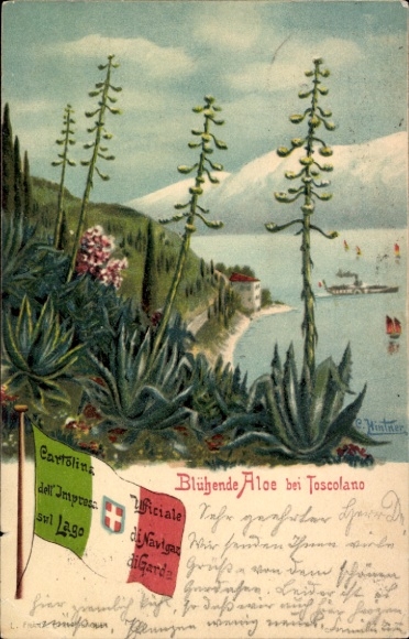Ak Toscolano Lombardia, Blühende Aloe, Italienische Fahne