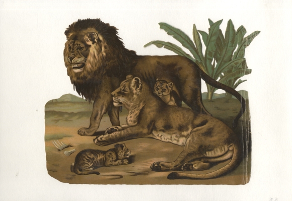 Oblate Löwenfamilie, Größe ca. 24 x 29,5 cm