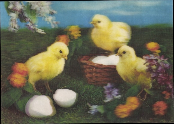3D Postcard Happy Easter, chick, eggshell