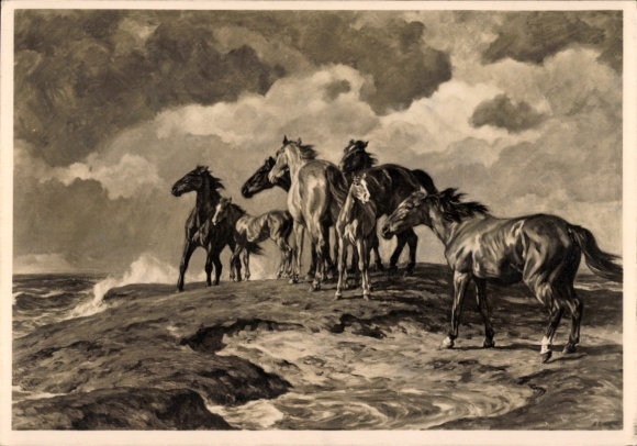 Artist Postcard Roloff, Alfred, Pressed by the Water, Horses, HDK 440
