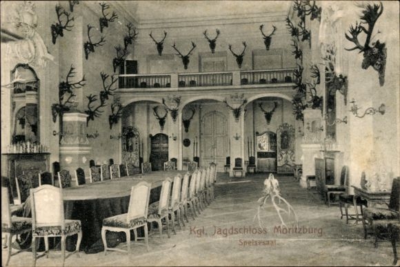 Ak Moritzburg in Sachsen, Kgl. Jagdschloss  Speisesaal, große Tafel, Jagdtrophäen