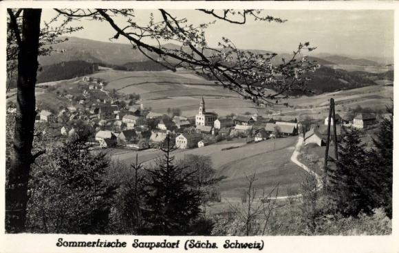 Ak Saupsdorf Sebnitz in Saksen, algemeen uitzicht