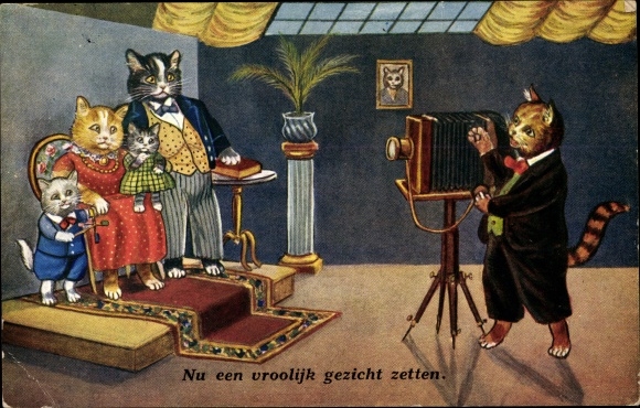 Postcard humanized cats, photographer makes family portrait, kindly please
