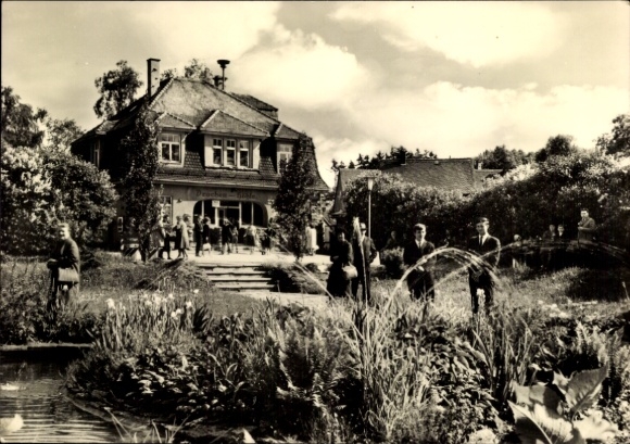 Ak Syrau Rosenbach im Vogtland, Haus, Garten, Menschen, Blumen, Teich