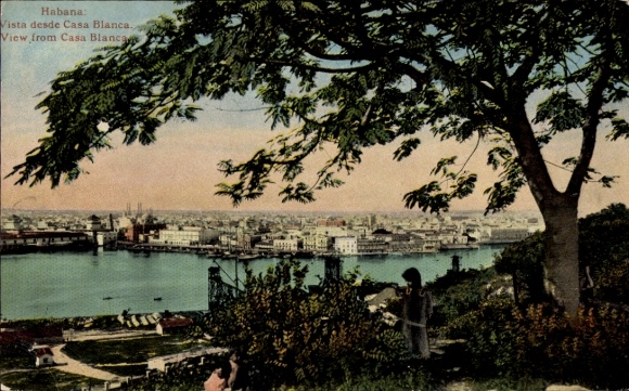 Postcard Havana Habana Cuba, view of Casa Blanca, harbor view, tree in the foreground