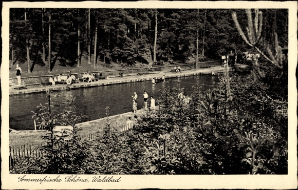 PC Reinhardtsdorf Schöna Saxon Switzerland, forest bath