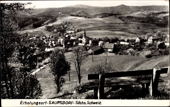 Ansichtkaart Saupsdorf Sebnitz Saksen, overzicht