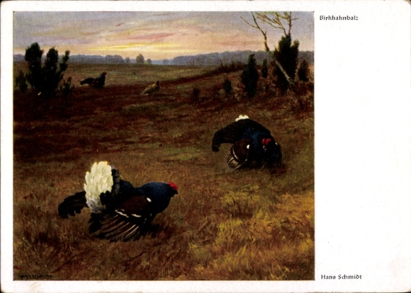 Artist PC Schmidt, Hans, Birkhahnbalz, chickens, cocks