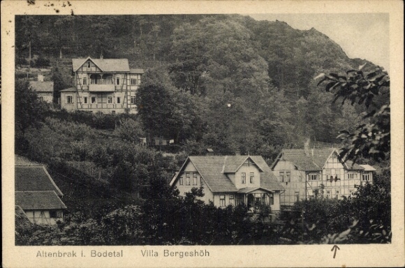 Postcard Altenbrak Thale in the Harz Mountains, Villa Bergeshöh, idyllic landscape, architecture