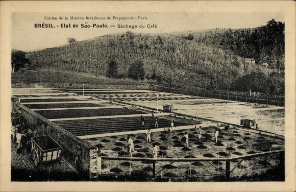 Postcard São Paulo Brazil, Sechage du Cafge