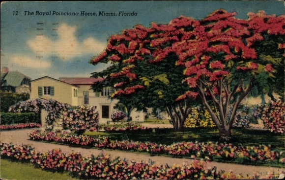 Ak Miami Beach Florida VS, het Koninklijke Poinciana-huis