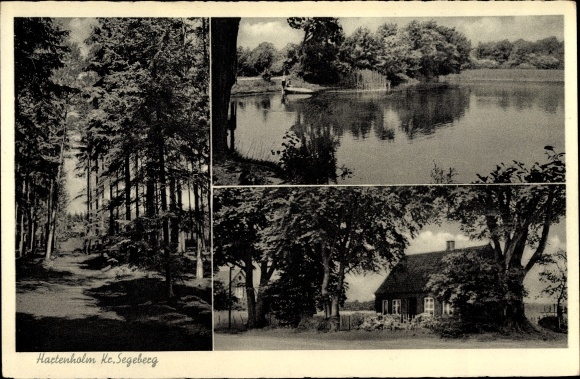 PC Hartenholm Schleswig Holstein, forest area, lake view, house