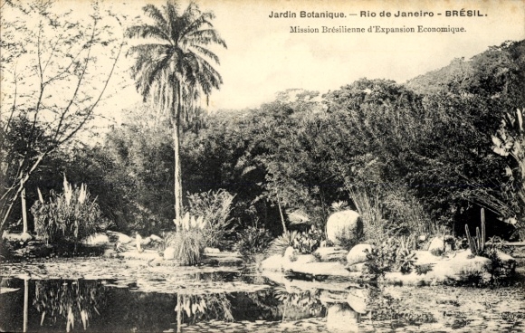 Postcard Rio de Janeiro Brazil, Botanical Garden, palm trees, water surface, plants, Brazil