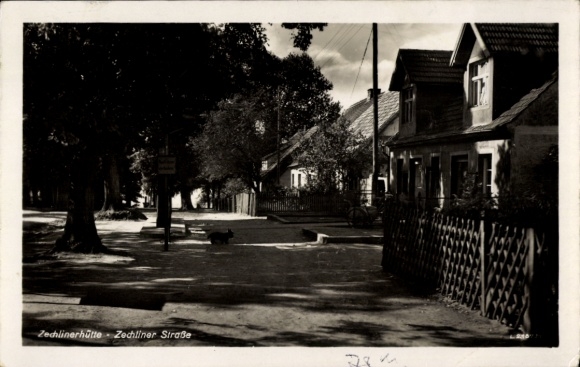 Postcard Zechlinerhütte Stadt Rheinsberg in der Mark, Zechliner Straße