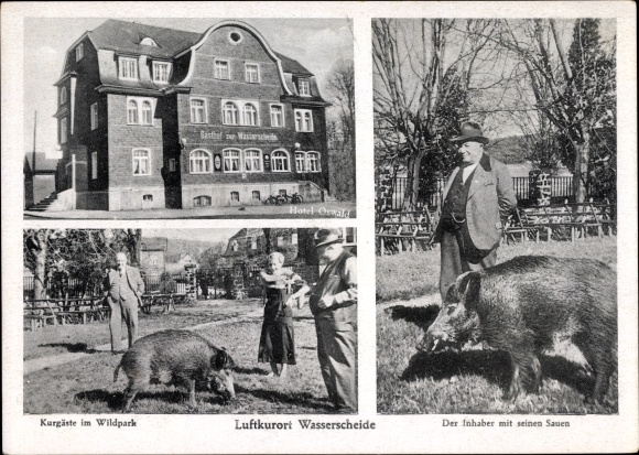 Postcard Würgendorf Burbach, Hotel Zur Wasserscheide, owner Oswald with his wild boars