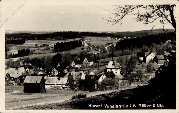 Photo Postcard Vogelsgrün Auerbach im Vogtland, general view