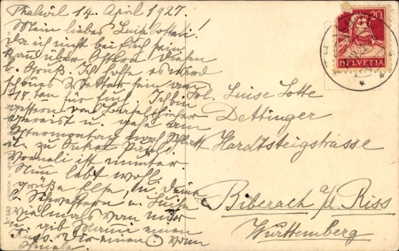 Artist Postcard Kennedy, AE, humanized domestic cats, field work