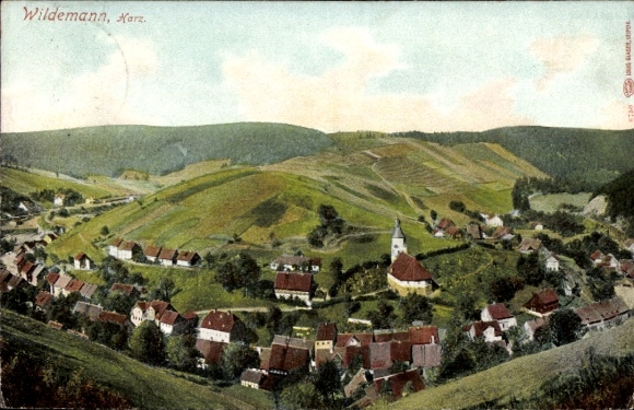 Ak Wildemann in de Oberharz, algemeen beeld met uitzicht op de vallei