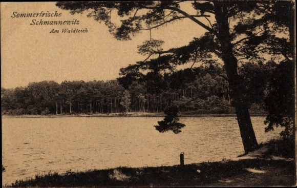 Ak Schmannewitz Dahlen in Sachsen, Sommerfrische, Waldteich, Natur, Wasser, Bäume