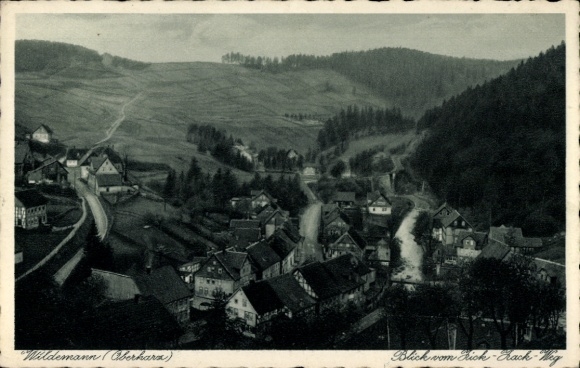 Ak Wildemann Clausthal Zellerfeld im Oberharz, Aussicht auf  Erzgebirge, Häuser, Landschaft, B...