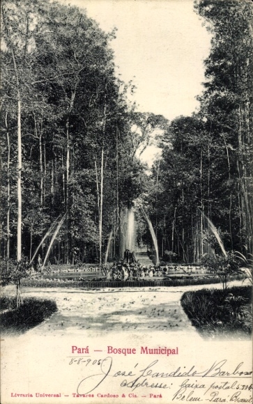 Ak Para Brasilien, Bosque Municipal,  Brasilien, Brunnen, Bäume, 