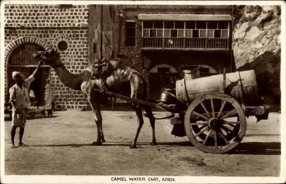 Postcard Aden Yemen, Camel Water Cart