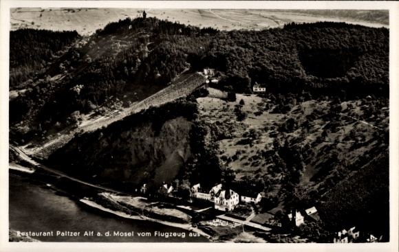 Ak Alf an der Mosel, Luftaufnahme von Restaurant Paltzer, Mosel, grüner Hang, Fluss