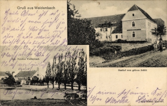 Ak Weidenbach Obhausen in Saalekreis, groeten vanuit de herberg bij het groene bord, veel platanen