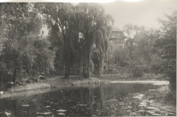 Original Fotos Berlin Tempelhof, Alter Park, Teich, um 1946, ca. 12x17 cm