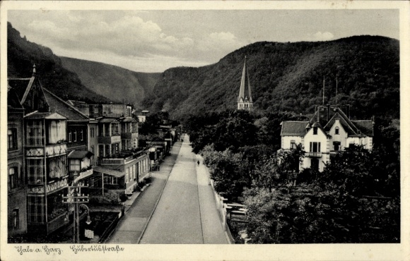 Ansichtkaart Thale im Harz, Hubertusstrasse