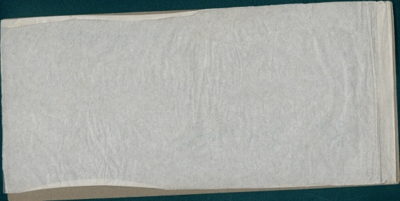 Stereo Photo Jamaica, 1915, Urwald, Fluss
