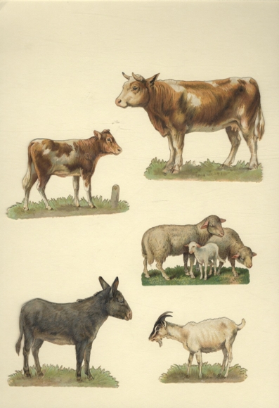 5 wafers farm animals, donkeys, sheep, cows, goats, approx. 8 x 11 cm to 5 x 7 cm