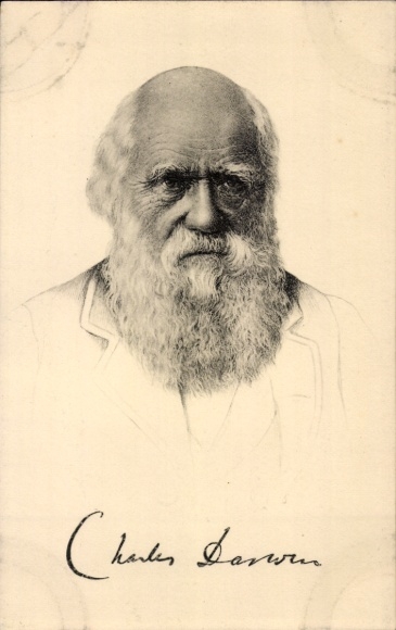 PC Charles Darwin, portrait