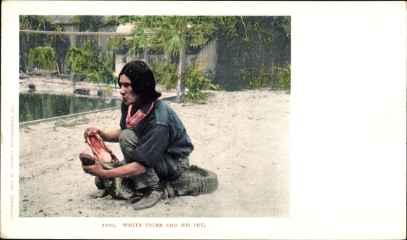 Postcard Florida, White Tiger and his pet, Indian, alligator