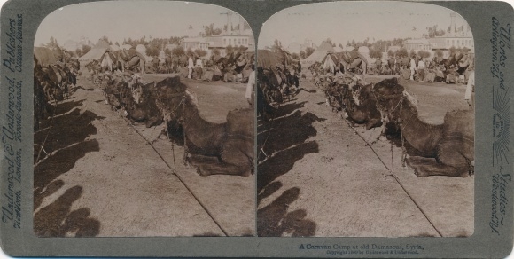 Stereo photo Damascus Syria, Caravan Square, camels