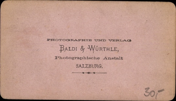 CdV Zell am See in Salzburg, view of the town, mountains