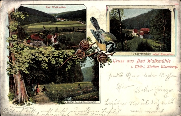 Postcard Eisenberg in Thuringia, Mühltal, Walkmühle, Pfarrmühle, Schönheitsborn