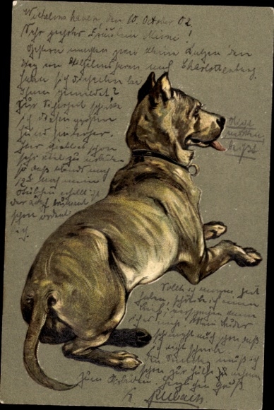 Litho Hund, Tierportrait