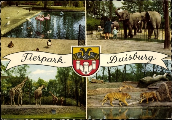 PC Duisburg in the Ruhr area, zoo, elephants, tigers, giraffes, flamingos