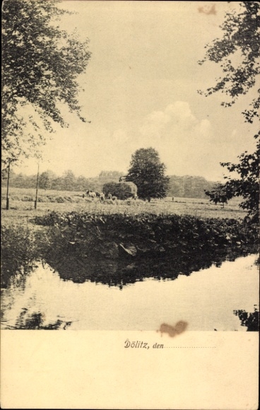 Ak Dölitz Leipzig in Sachsen, Landschaft mit Wasser, Bäume, Wiese, Kühe, Dölitz