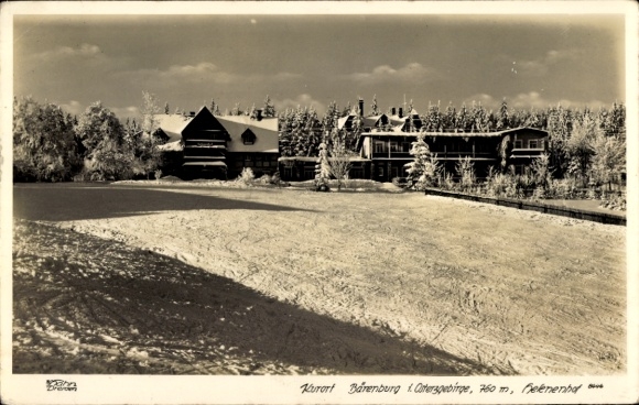 Ak Bärenburg Altenberg im Erzgebirge, Teilansicht im Winter