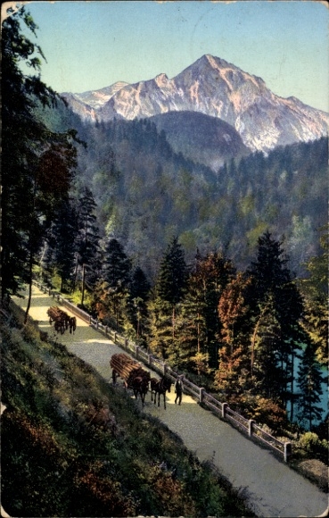 Postcard Altenau Clausthal Zellerfeld in the Upper Harz, mountain landscape, forest, path, horses with carriage
