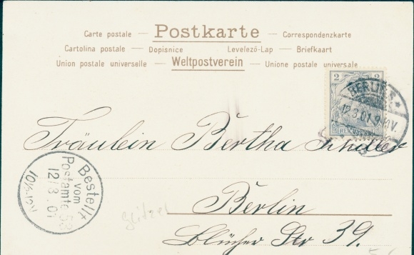 Brokat litho wiosna, portret kobiety, kapelusz, fiołki
