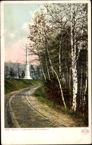 Briefkaart Brattleboro Vermont de VS, berkenbomen bij Morningside