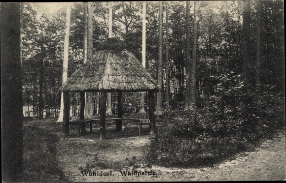 Ansichtkaart Hamburg Wandsbek Wohldorf, bosperceel