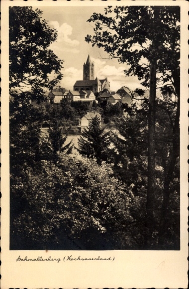 Ak Schmallenberg im Hochsauerland, Jagdhaus Wiese,  Hochsauerland, Echte Photographie, Pension Ri