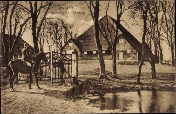 Ansichtkaart Tönning an der Eider Noord-Friesland, Eiderstedter Land, Hauberg
