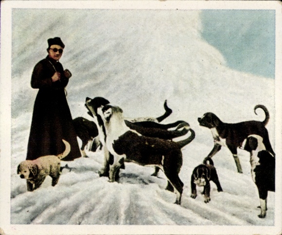 Collector's picture The post-war period No. 180 Dec. 1931, The monks of St. Bernhard move to Tibet