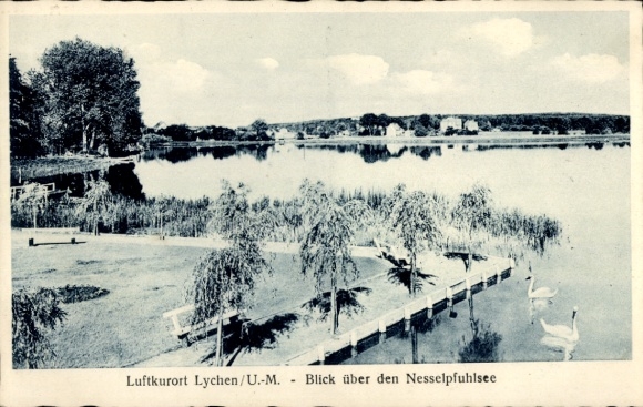 Ak Lychen in der Uckermark, Nesselpfuhlsee