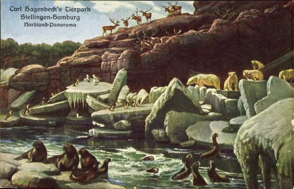 Postcard Hamburg Eimsbüttel Stellingen, Carl Hagenbeck's Tierpark, Nordland Panorama, polar bears, seals